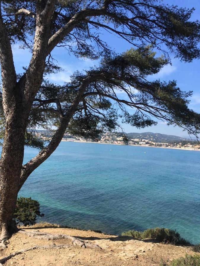 Les Galets De Sanary - Vue Mer 외부 사진